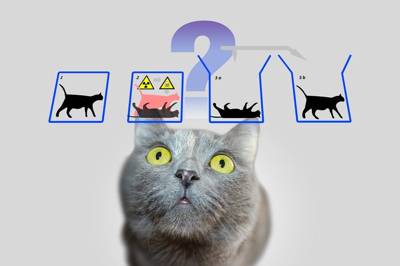 Quantum Tunneling